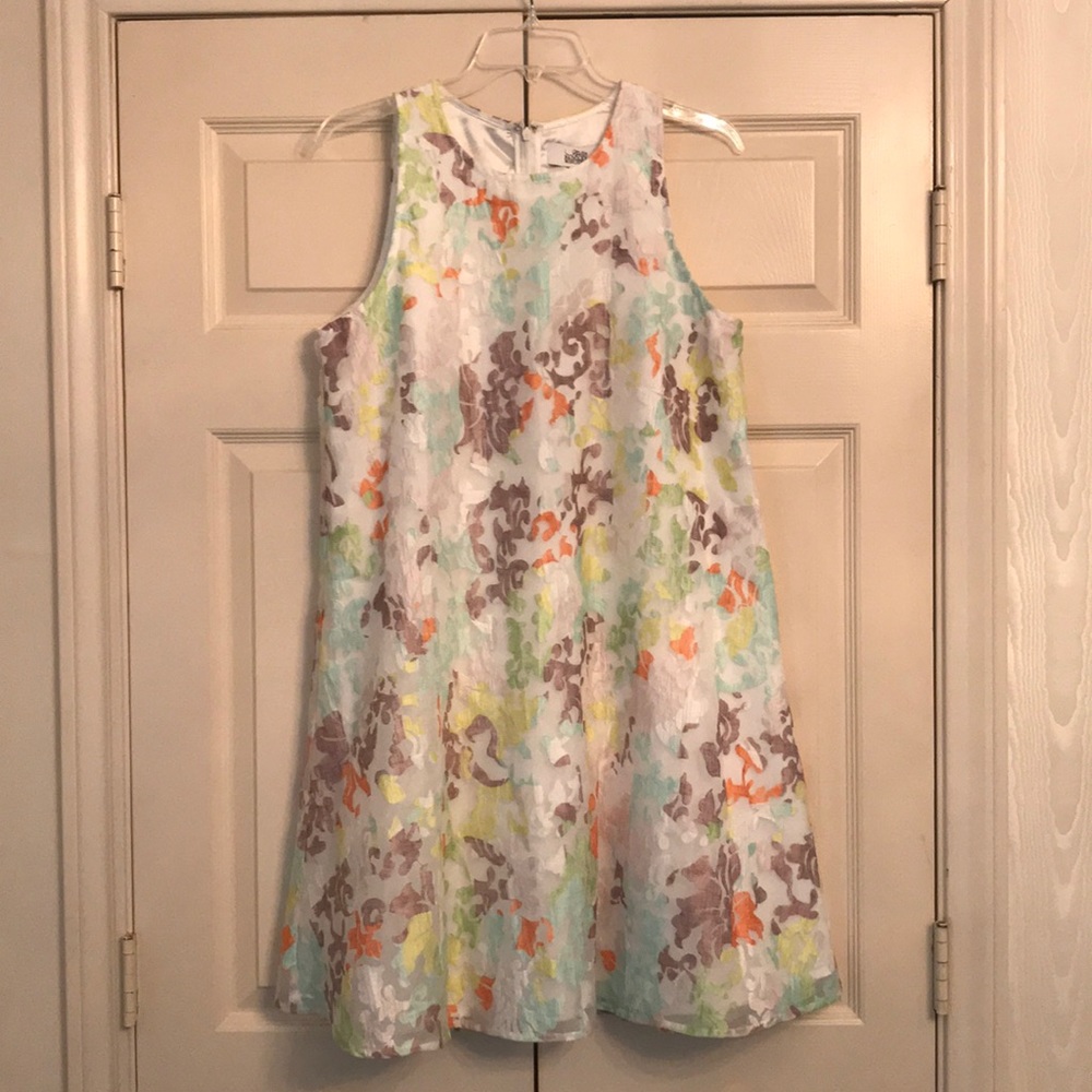 Bagley Mischka Beautiful Organza Embroidered Dress